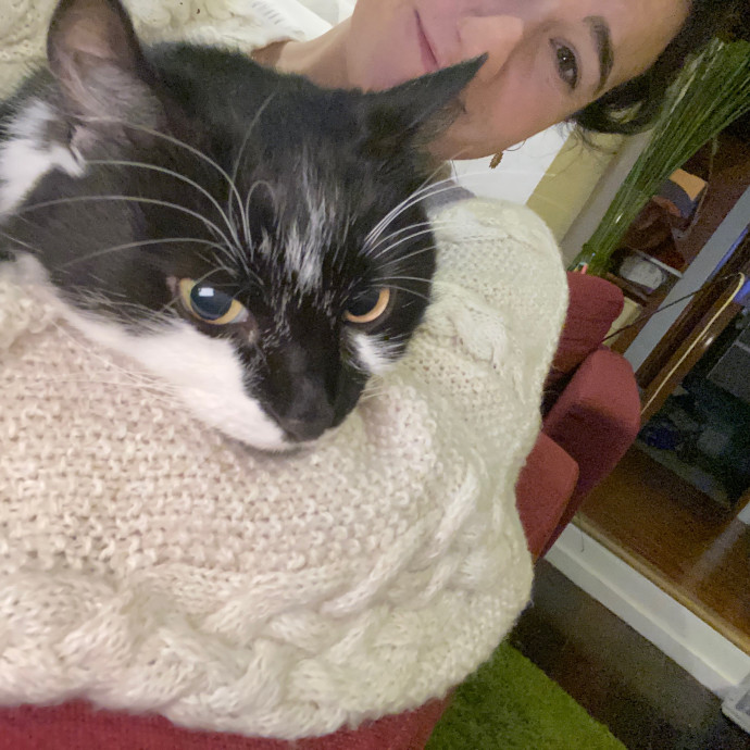 Cozy Cat Care