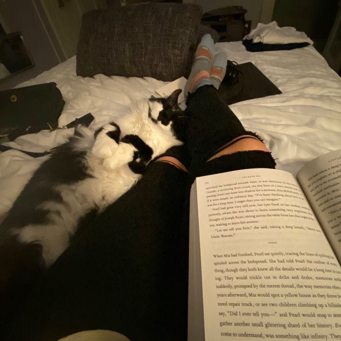 Cozy Cat Care