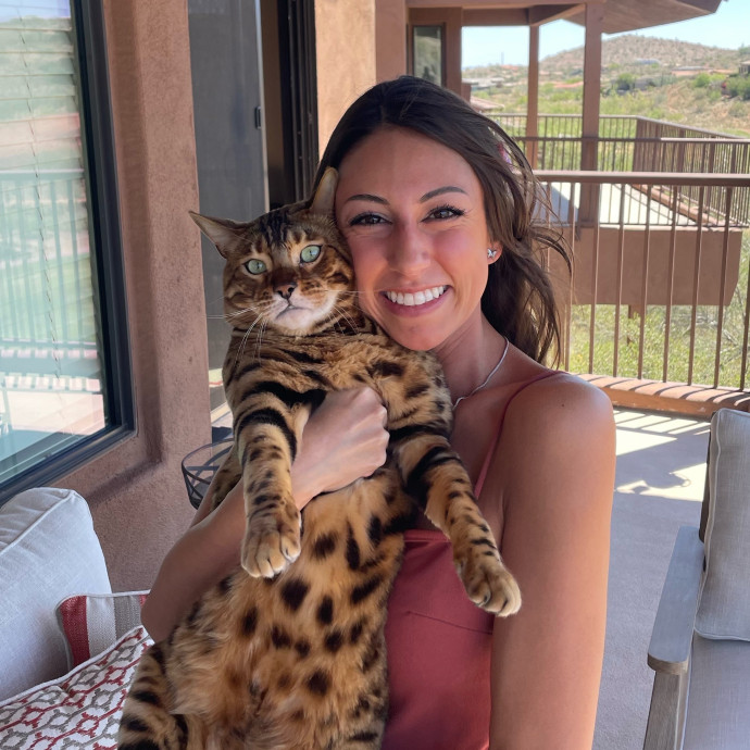 Kittens To Seniors-Care You Can Count On