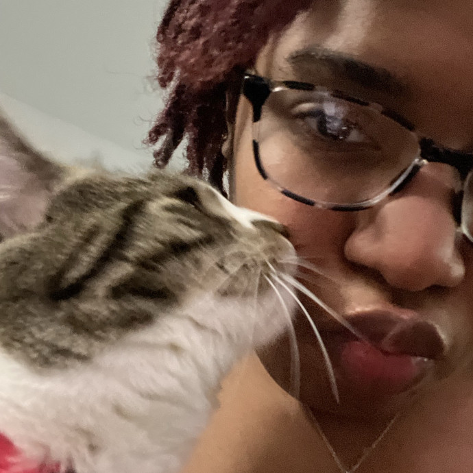 Your Kitties Newest Friend