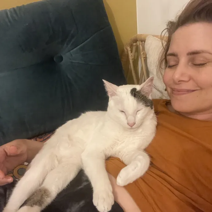 Your Cat Sitter's Favorite Cat Sitter