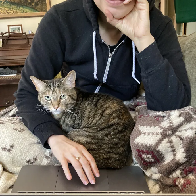 Your Cat Sitter's Favorite Cat Sitter