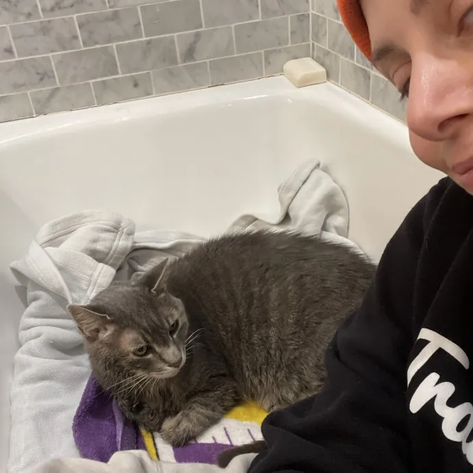 Your Cat Sitter's Favorite Cat Sitter