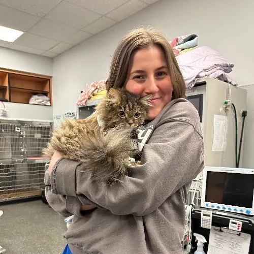 Experienced Attentive Vet Tech Care