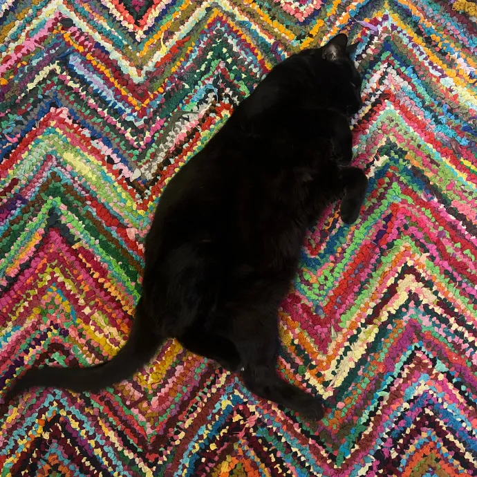 Furry Friend Fun While You're Away