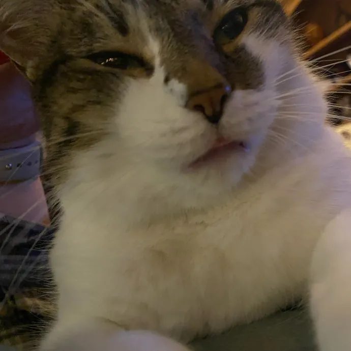 Warm Responsible Human Happy To Help 