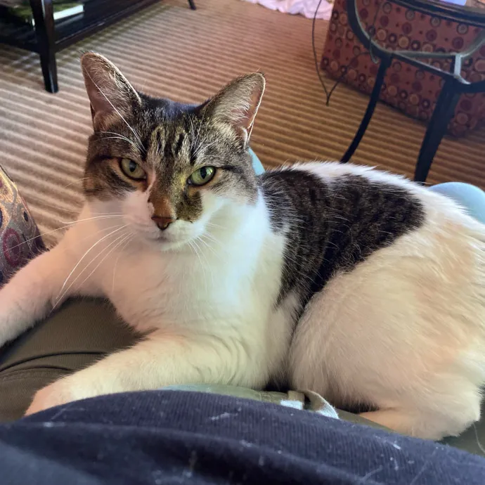 Warm Responsible Human Happy To Help  photo 3