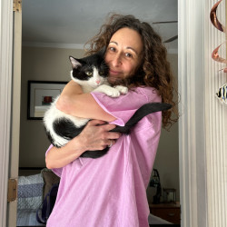 Photo #4