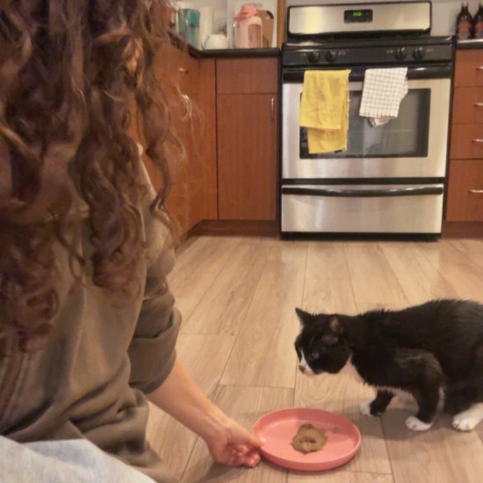 The Cat Lady Cats Approve Of