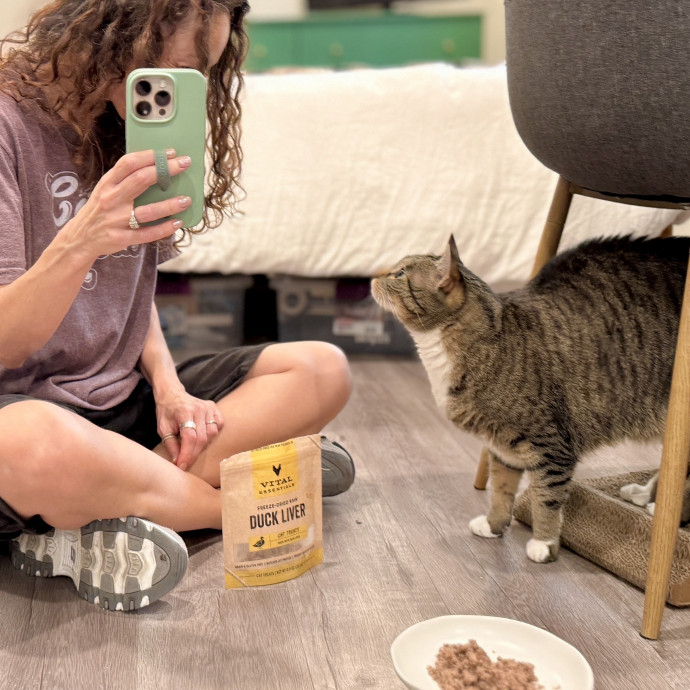 The Cat Lady Cats Approve Of
