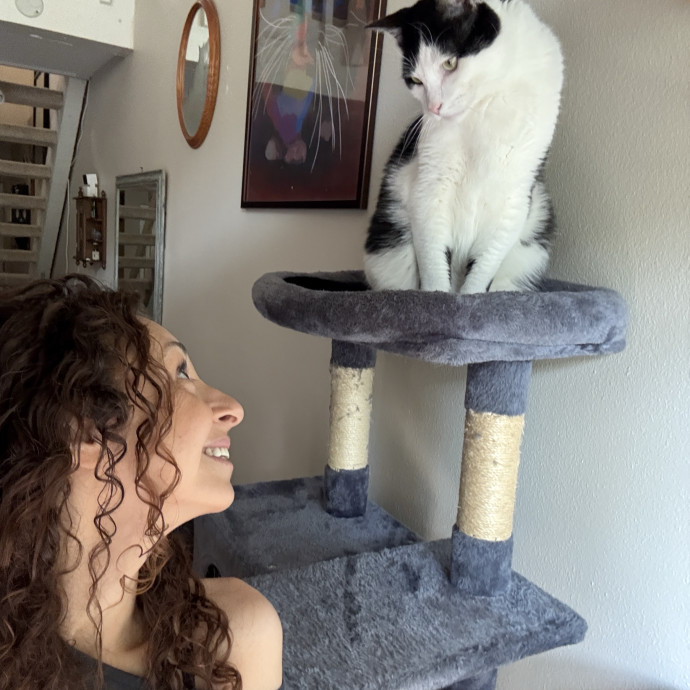 The Cat Lady Cats Approve Of