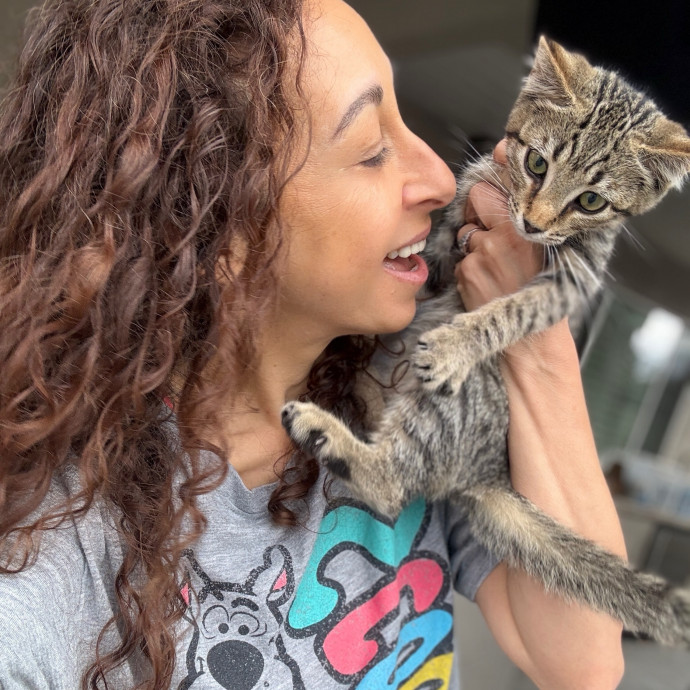 The Cat Lady Cats Approve Of
