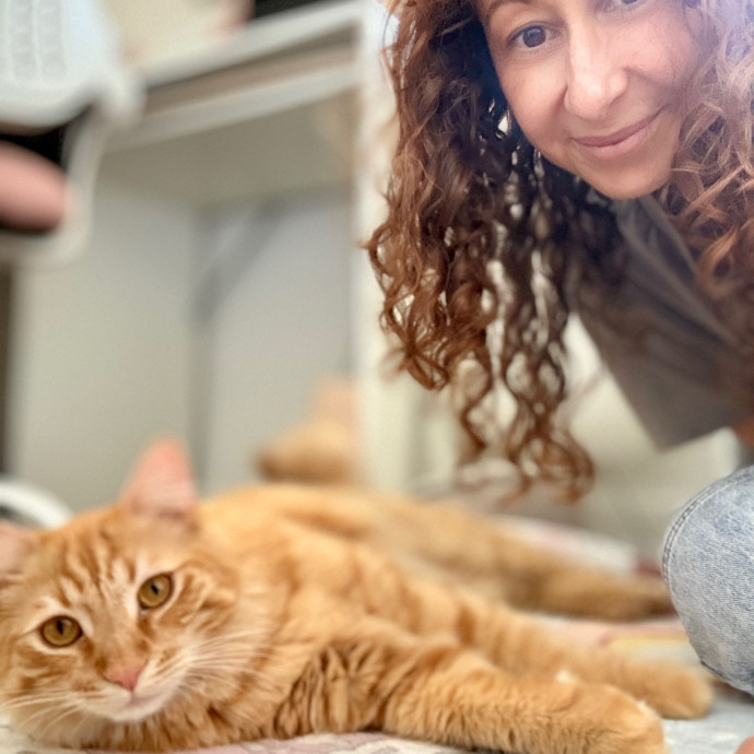 The Cat Lady Cats Approve Of photo 3