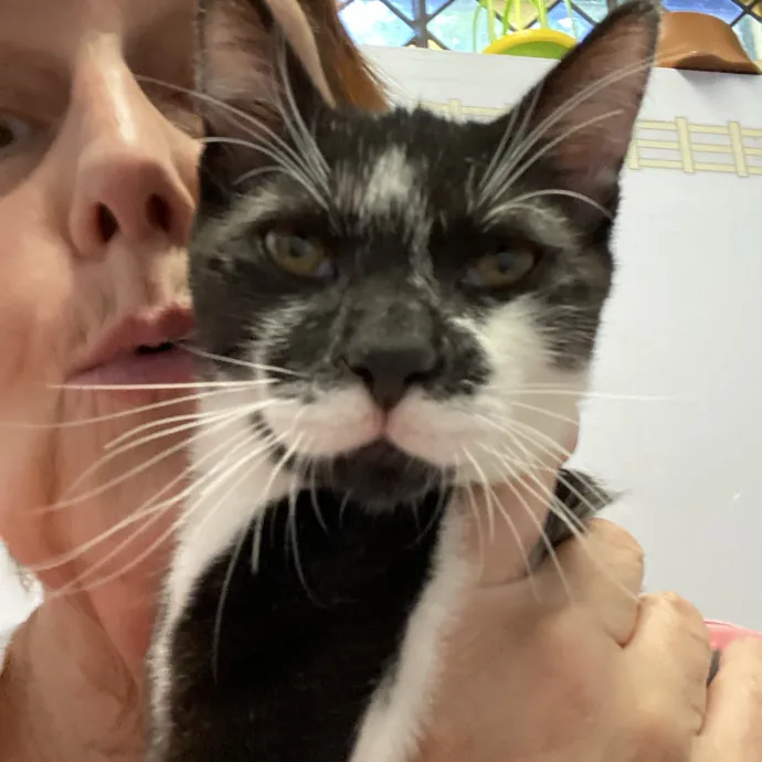 Diana The Cat Whispurrer