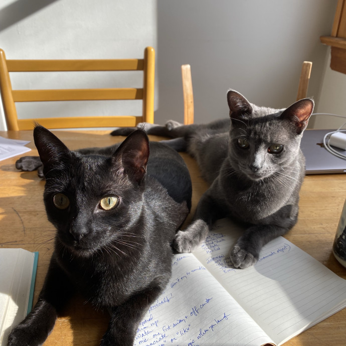 Diana The Cat Whispurrer photo 3