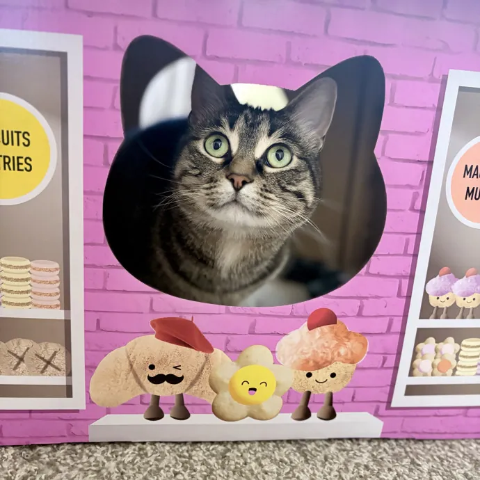 Shelly's Pampered Paws And Purrs