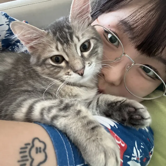 Cats Love Me And I Love Cats