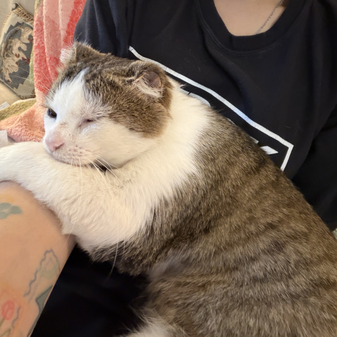 Pre-Vet Student With Sitter Experience