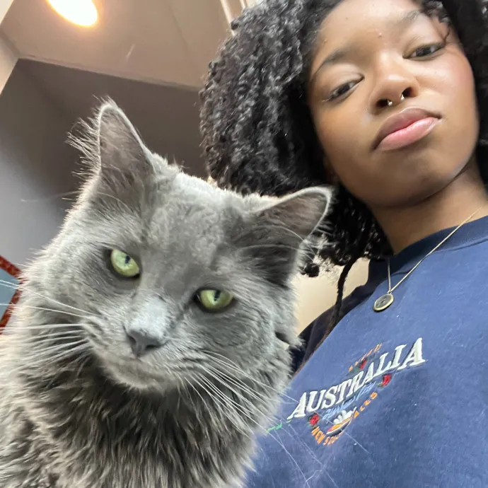 Cat Care With A Cat Lover