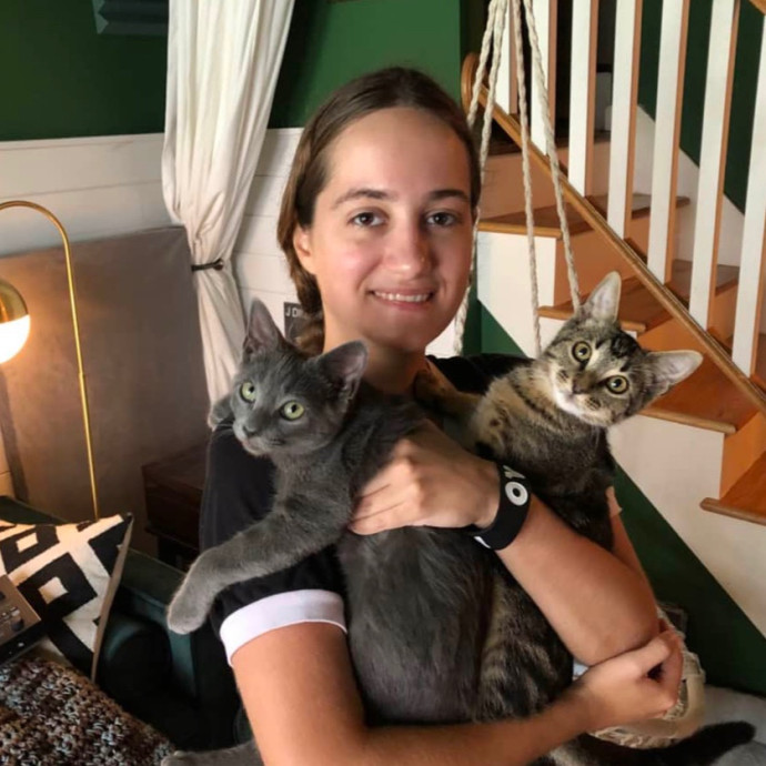 5 Star Kitty Sitter