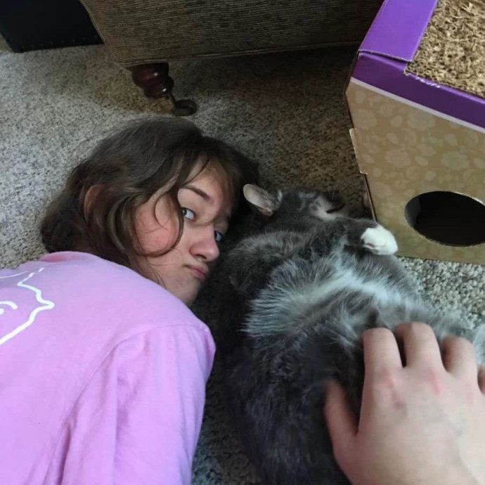 5 Star Kitty Sitter