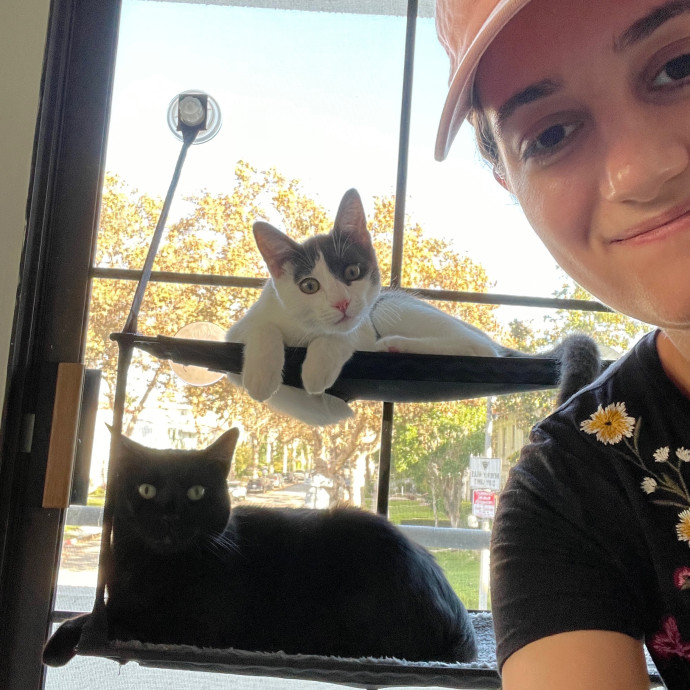 5 Star Kitty Sitter