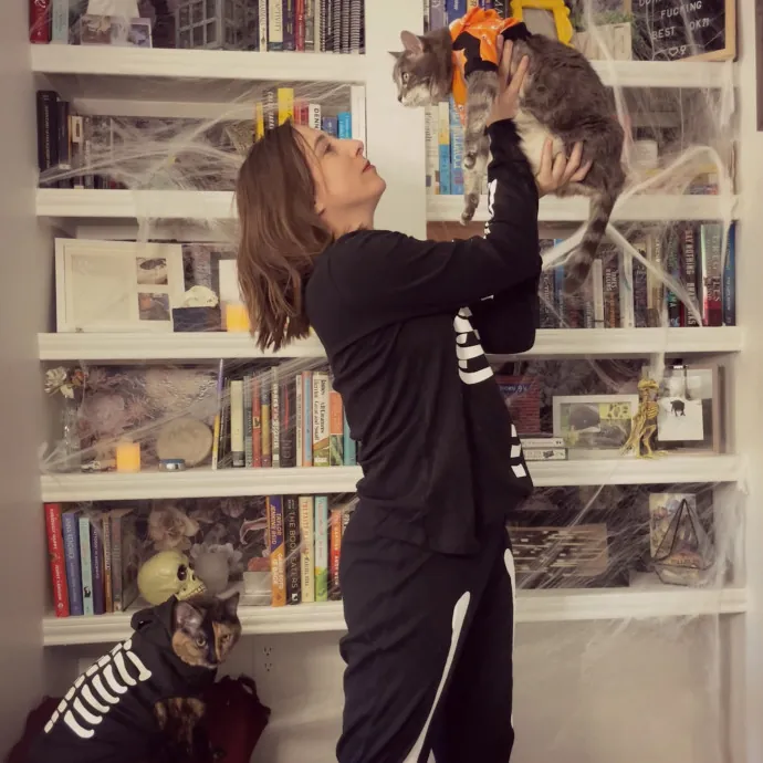 Steph's Sitting Service