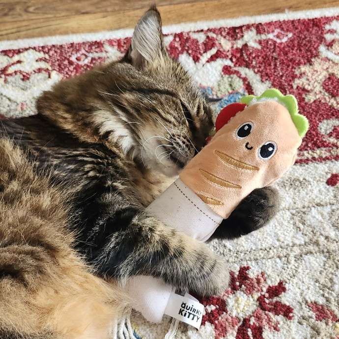 Cat Lover photo 2