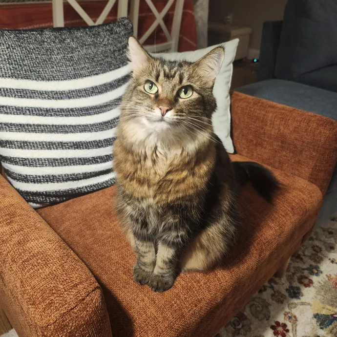 Ava M.