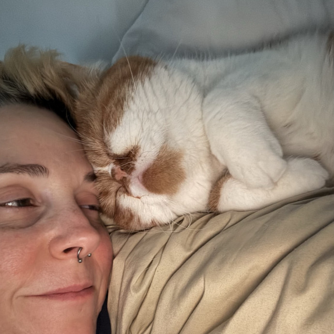 Massive Cat Lover With 4 Cats Of My Own photo 2
