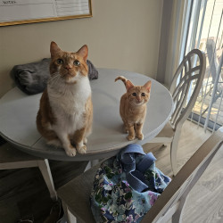 Photo #1 Photo #1