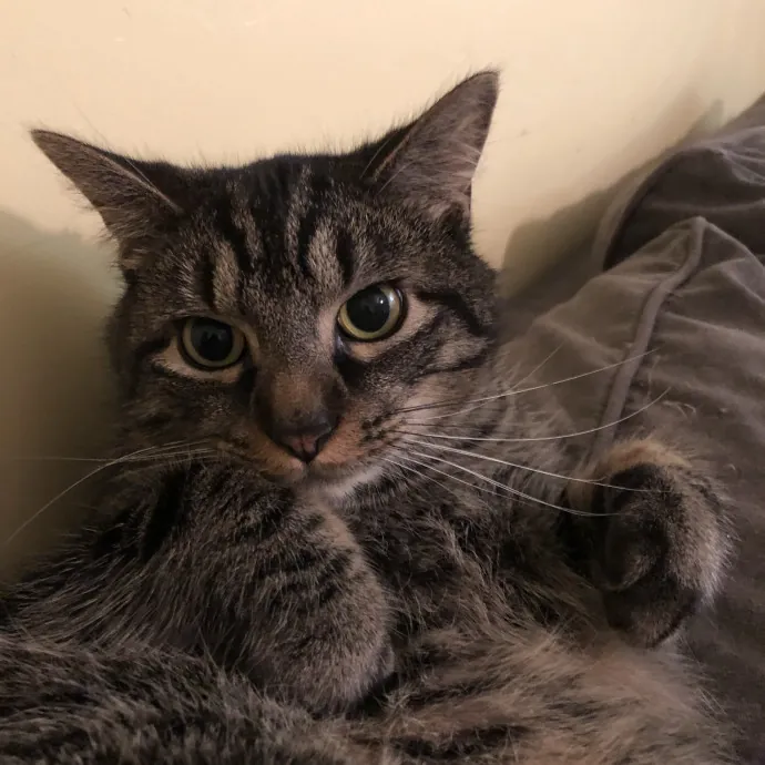 Tina M.