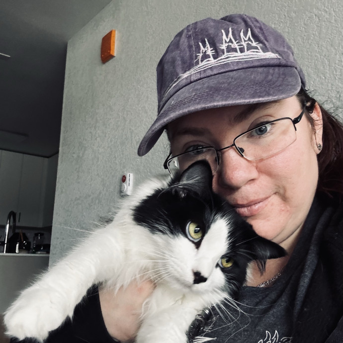 Pampered Purrs  Kitten To Super Senior