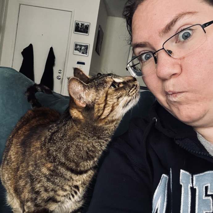 Pampered Purrs  Kitten To Super Senior