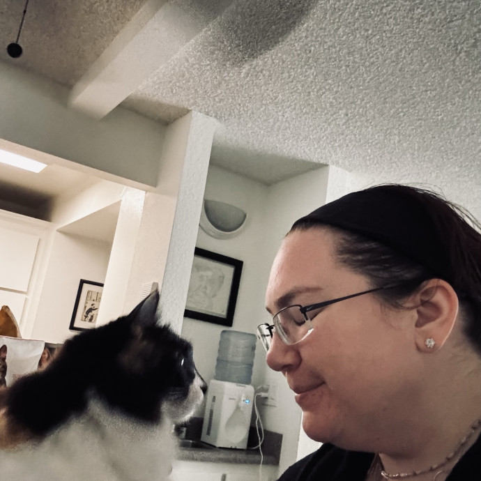 Pampered Purrs  Kitten To Super Senior