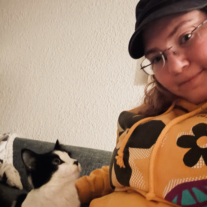 Pampered Purrs  Kitten To Super Senior