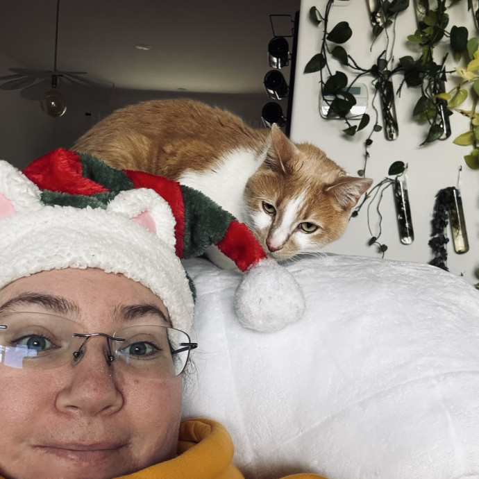 Pampered Purrs  Kitten To Super Senior