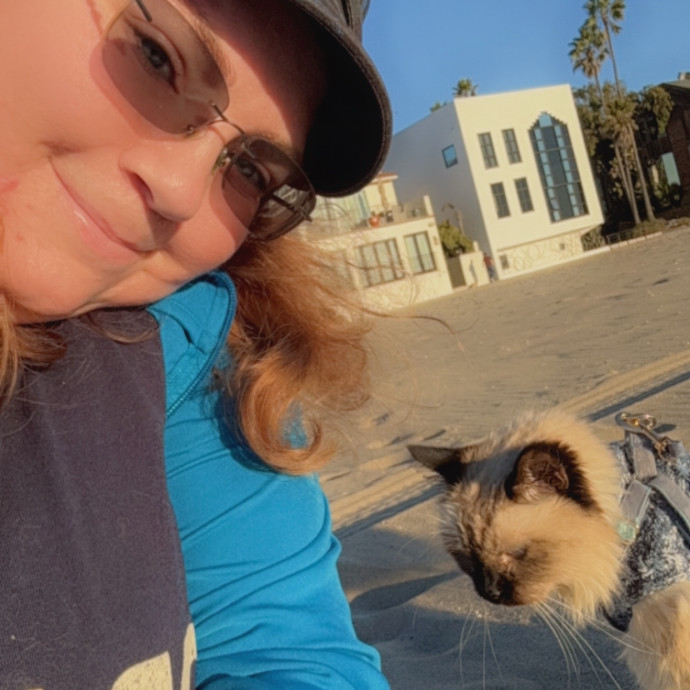 Pampered Purrs  Kitten To Super Senior