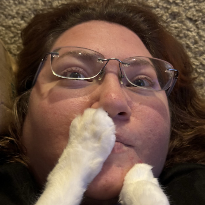 Pampered Purrs  Kitten To Super Senior