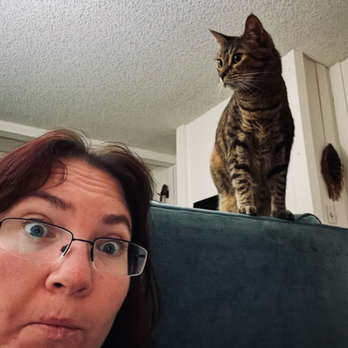 Pampered Purrs  Kitten To Super Senior
