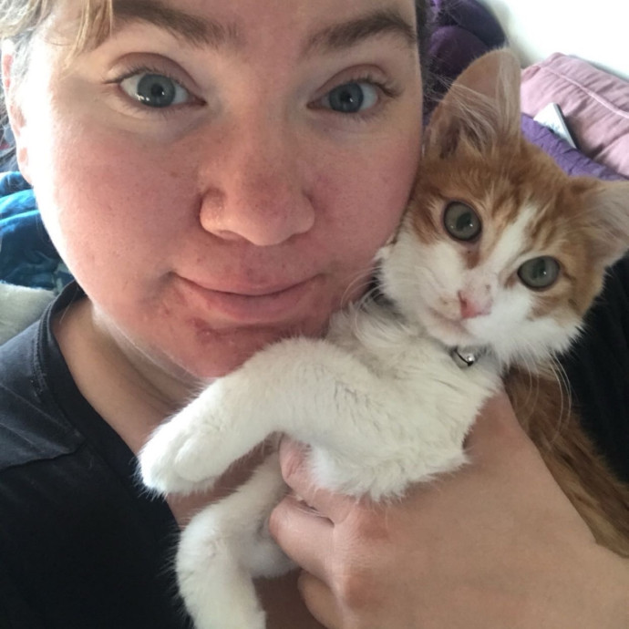 Pampered Purrs  Kitten To Super Senior