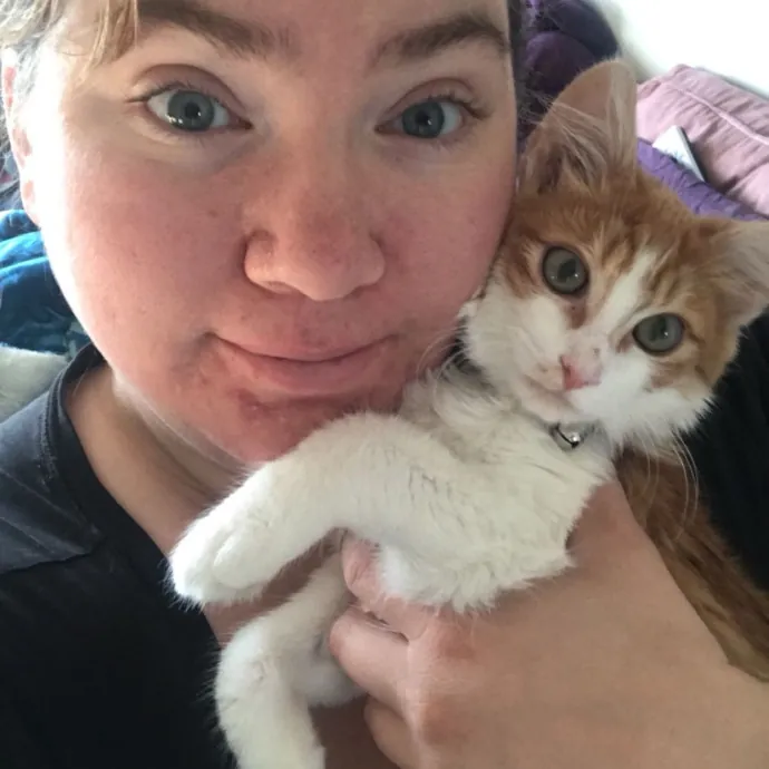 Pampered Purrs - Kitten To Super Senior