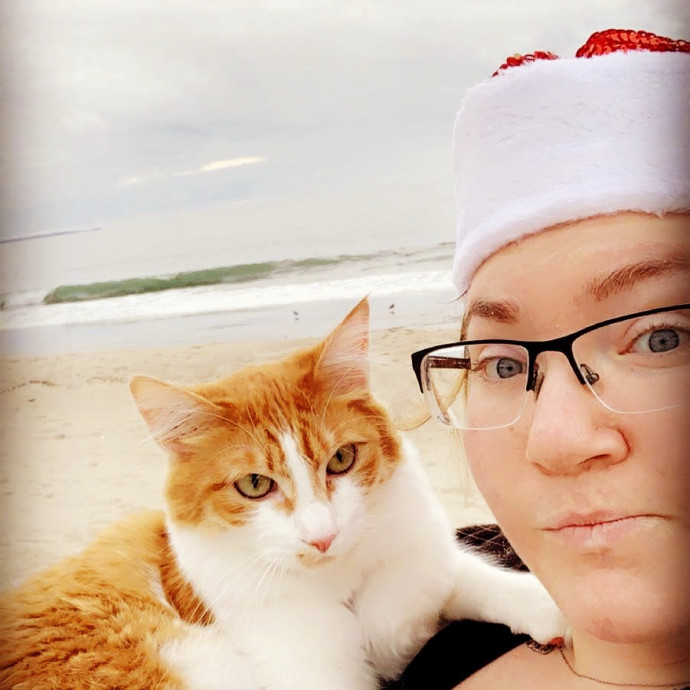 Pampered Purrs  Kitten To Super Senior