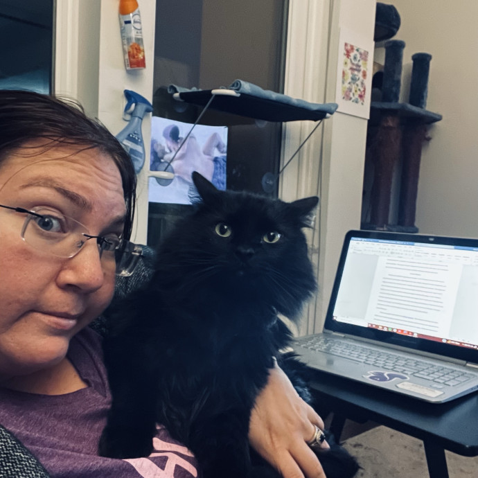 Pampered Purrs  Kitten To Super Senior