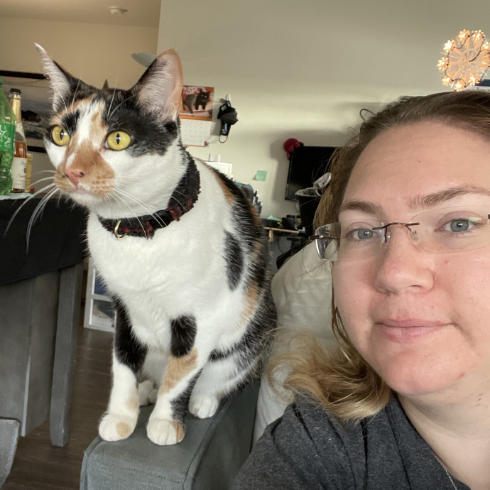 Pampered Purrs  Kitten To Super Senior