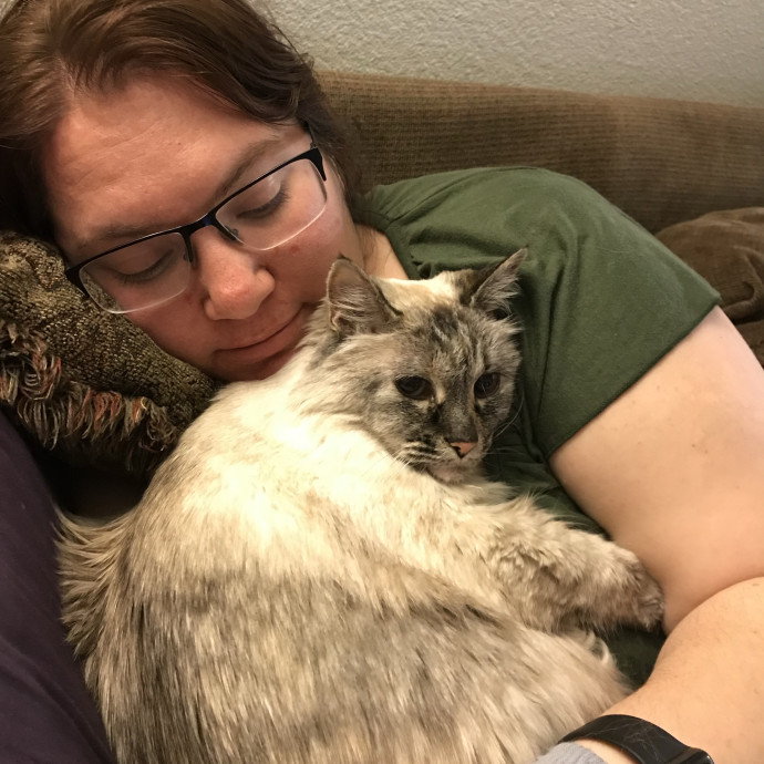 Pampered Purrs  Kitten To Super Senior