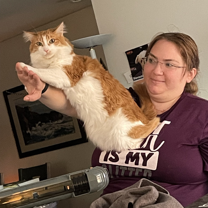 Pampered Purrs  Kitten To Super Senior