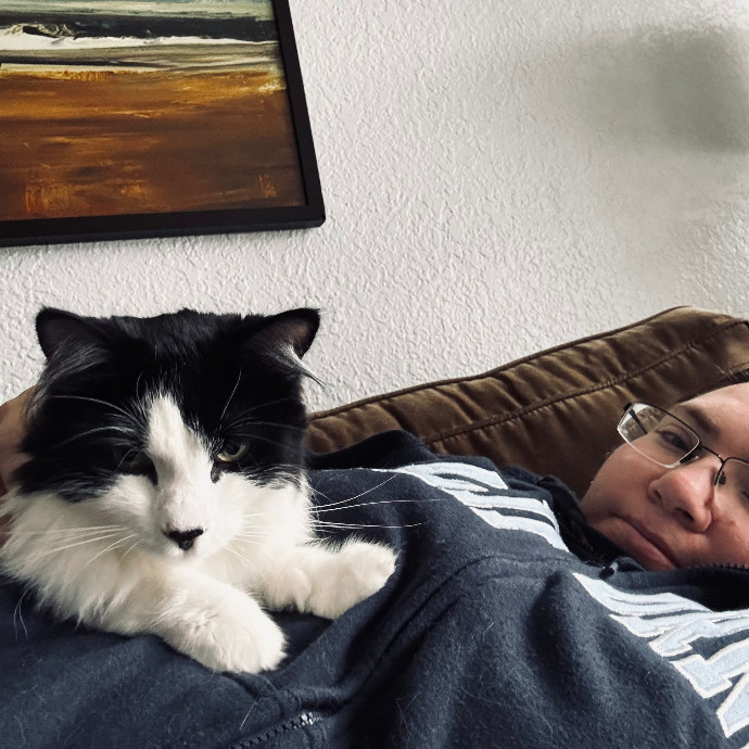 Pampered Purrs  Kitten To Super Senior