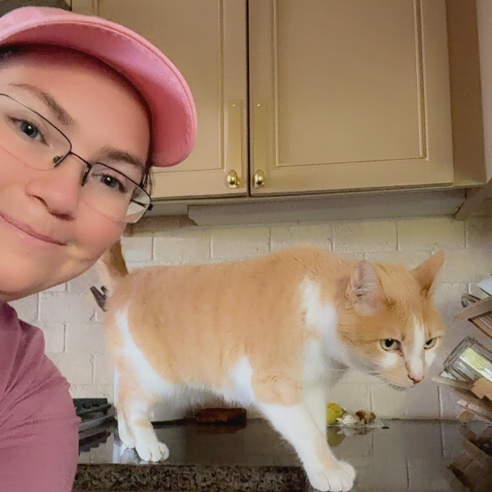 Pampered Purrs  Kitten To Super Senior photo 3