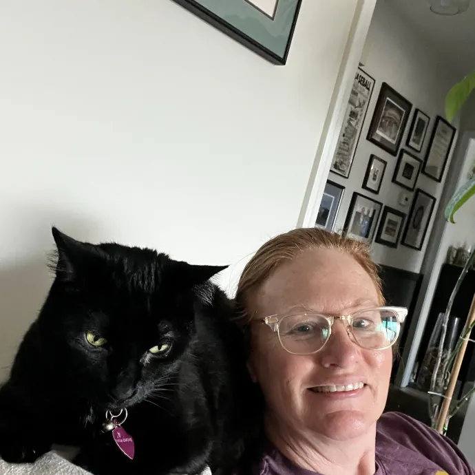 Comfort Care For Your Cat By A Cat Mom photo 2
